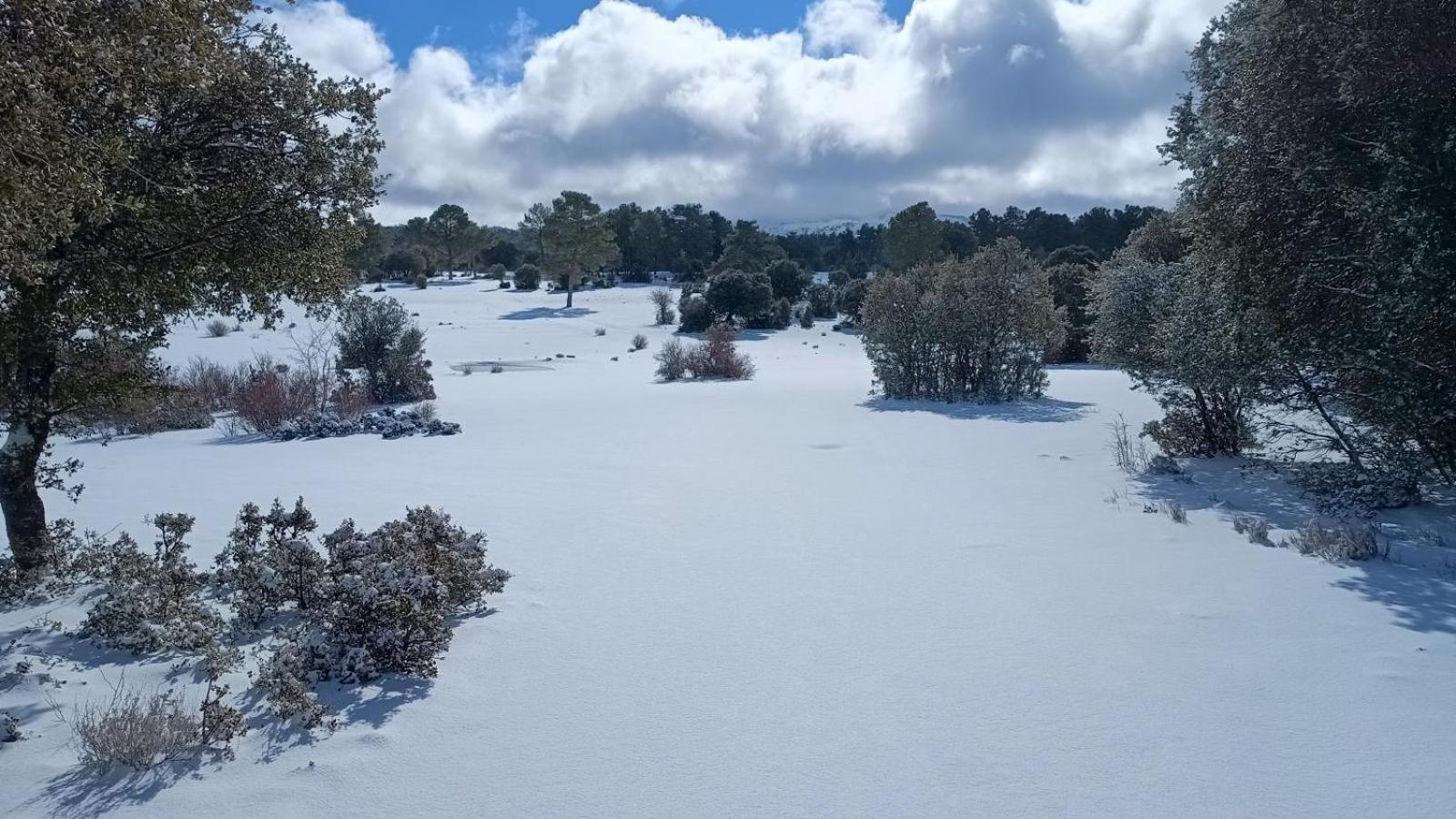 Séjour à la campagne El Pinar De La Lobera