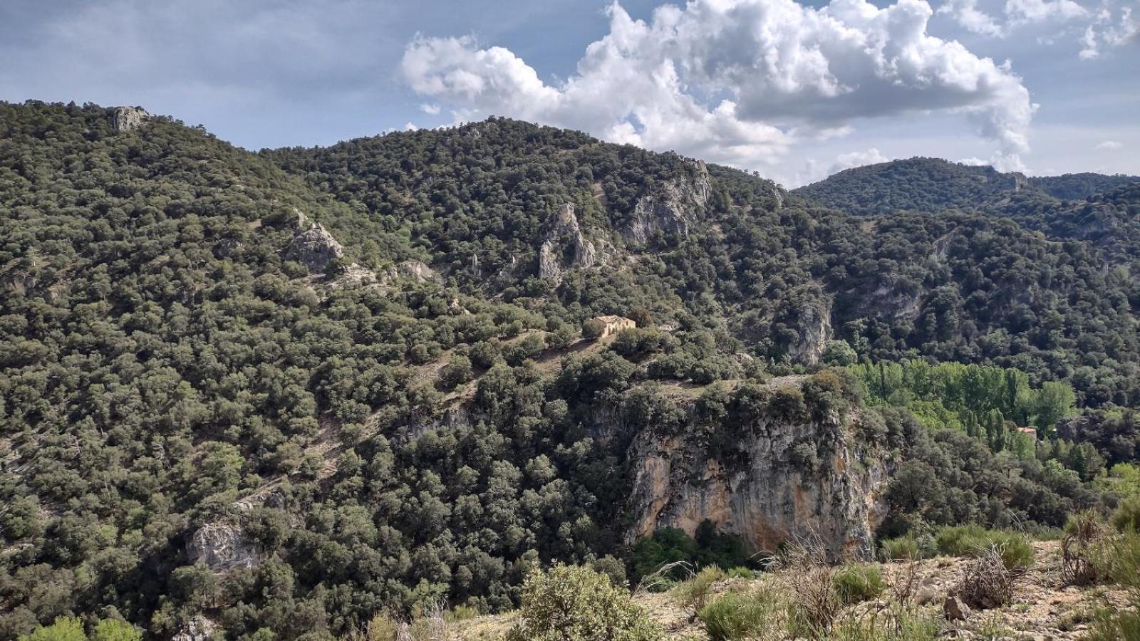 Séjour à la campagne El Pinar De La Lobera *