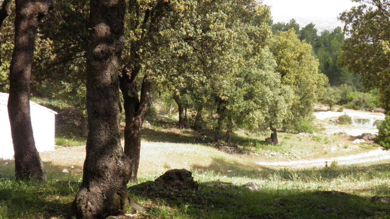 Séjour à la campagne El Pinar De La Lobera